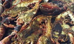 Bogavante del Cantábrico a la plancha